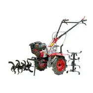 Мотоблок Weima WM1100F-6 DIFF, 13 л.с., бензин, воздушное (с фрезой), фото 