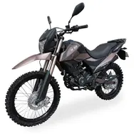 Мотоцикл Shineray XY250GY-6C LIGHT (Черно-зеленый), фото 