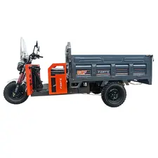 Електротрицикл вантажний FORTE GP-1500-CZ  купити в Україні