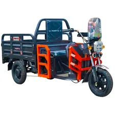 Електротрицикл вантажний FORTE GP-1100-A (сірий)  купити в Україні