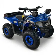 Квадроцикл с электродвигателем Spark Junior 1000w (синий), фото 