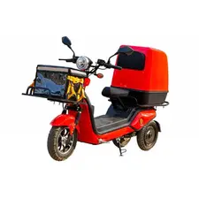 Электроскутер Vega City Cat Delivery IIІ, фото 