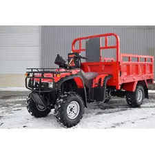 Грузовой квадроцикл Renegade ATW-300CC, фото 
