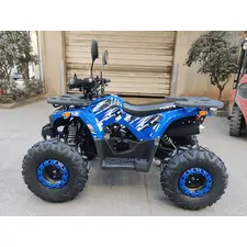 Квадроцикл Forte ATV125B (синий), фото 