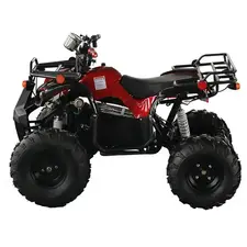 Електроквадроцикл Forte ATV1500NA (синій)  купити в Україні