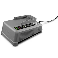 Быстрозарядное устройство Karcher Battery Power+ 36/60 36В, фото 