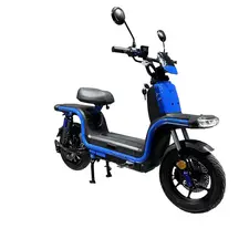 Електроскутер Forte U1 (Зелений)  купити в Україні