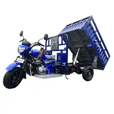 Вантажний мотоцикл FORTE ATV300ZH-T (синій)  купити в Україні
