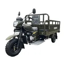 Вантажний мотоцикл FORTE ATV250ZH-T (зелений)  купити в Україні