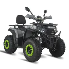 Квадроцикл Forte ATV-200G (зеленый), фото 