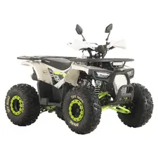 Квадроцикл Spark SP125-9 (Белый), фото 