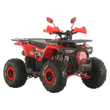 Квадроцикл Spark SP125-9 (Красный), фото 