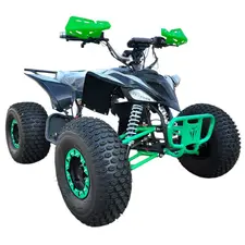 Электроквадроцикл Forte ATV1000I (1500W) Черно-Зеленый, фото 