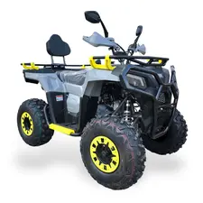 Квадроцикл MIKILON Wolf 200 PRO, фото 
