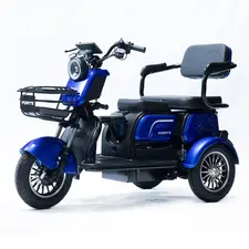 Електроскутер Forte FAMILY-WS1000 Синій  купити в Україні