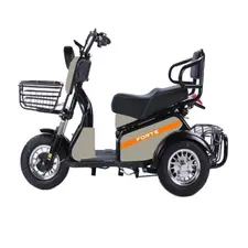 Електроскутер Forte S1-WS600 Сірий  купити в Україні