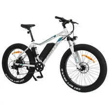 Електричний велосипед Forte Rapid 26 E-Bike (white)  купити в Україні