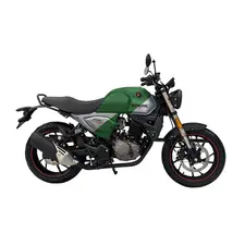 Мотоцикл Spark SP250SC-1 Scrambler, фото 