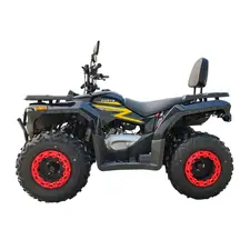 Квадроцикл FORTE ATV-250BS-К PRO Черно-желтый, фото 