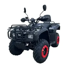 Квадроцикл FORTE ATV-250BS Черный, фото 