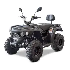 Квадроцикл Linhai M210 EFi, фото 
