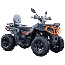 Квадроцикл FORTE AFC-250 PRO (Черный), фото 