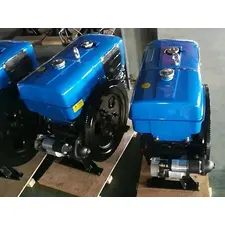Двигун Bizon 1100E, 15 к.с., дизельний, рідинне охолодження, електростартер  купити в Україні