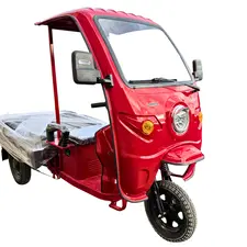 Кабина для электротрицикла грузового DOZER Mod 3E, фото 