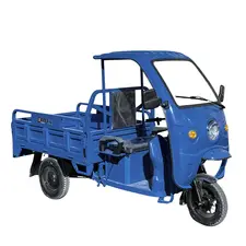 Кабина для электротрицикла грузового DOZER Mod 2E, фото 