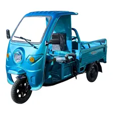 Кабина для электротрицикла грузового DOZER Mod 1, фото 