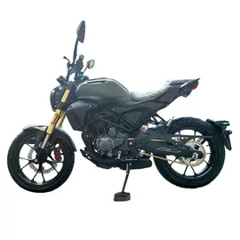 Мотоцикл Spark SP300SC-1 Scrambler (зеленый), фото 