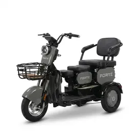 Електроскутер FORTE FAMILY-WN1060 (сірий)  купити в Україні