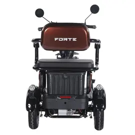 Електроскутер FORTE FAMILY-WN1072G (коричневий) фото 5 купити в Україні