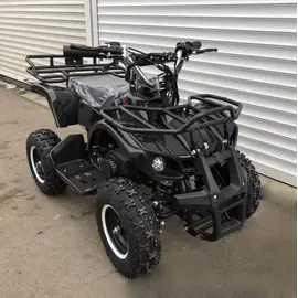 Квадроцикл Poсket Tiger 2T 65cc кікстартер-електростартер (чорний) фото 2 купити в Україні