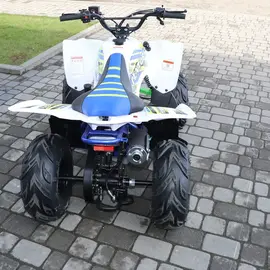Квадроцикл Exdrive Pentora 125cc фото 5 купити в Україні