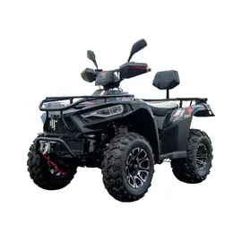 Квадроцикл LINHAI LH300 ATV-3D Promax (чорний), фото 