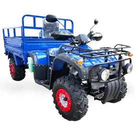 Грузовой Квадроцикл FORTE ATV250BS-T (Bashan), фото 