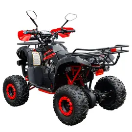 Квадроцикл Spark SP110-4 (Червоний) фото 5 купити в Україні