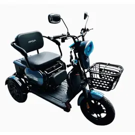 Електротрайк FADA OLDi MAX 1100W (триколісний електроскутер) бронзовий фото 4 купити в Україні