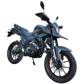 Мотоцикл Spark SP300T-2 (TEKKEN 300 dual sport), фото 