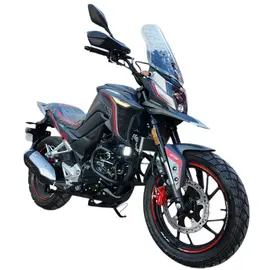 Мотоцикл Spark SP300T-4 (TEKKEN 300 dual sport) черный, фото 