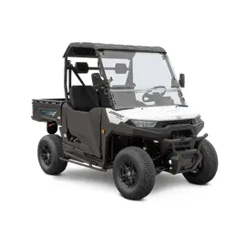 Багги Linhai UTV LH-80DU ELECTRIC, фото 