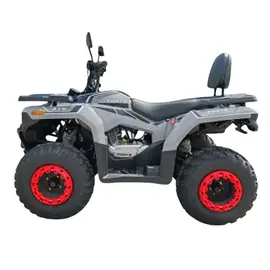 Квадроцикл Forte ATV-200BS PRO (серый), фото 