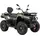 Электроквадроцикл SokMoto RAPTOR EV 30KW 72V/105AH, фото 