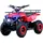 Электроквадроцикл Forte ATV1000RB (красный), фото 