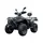 Квадроцикл LINHAI LH300 ATV-3D Promax (чорний)  купити в Україні