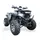 Квадроцикл Forte ATV-200G PRO (зелений)  купити в Україні