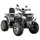 Квадроцикл Spark SP200-3 (Сірий)  купити в Україні