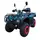 Квадроцикл FORTE ATV-250BS Синий, фото 
