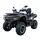 Квадроцикл LINHAI VALOR650(S) MUD EFI EPS CAMO, фото 